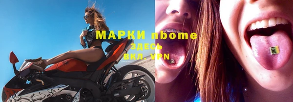Альфа ПВП Аркадак