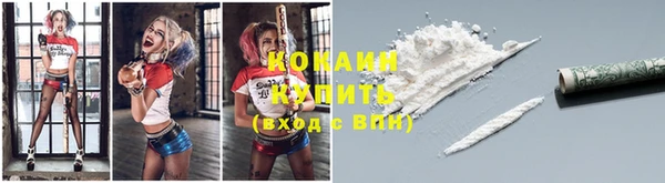 индика Бугульма