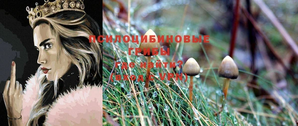 гидропоника Арсеньев