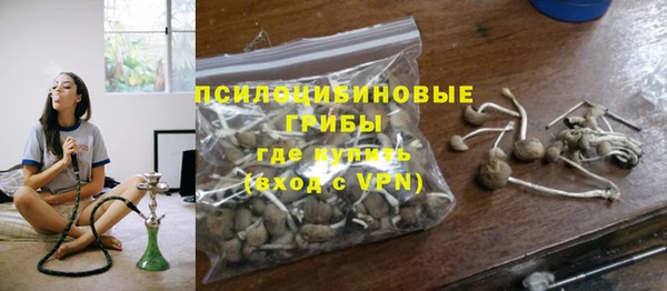 гидропоника Арсеньев