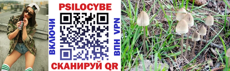 магазин наркотиков Палласовка Галлюциногенные грибы Magic Shrooms